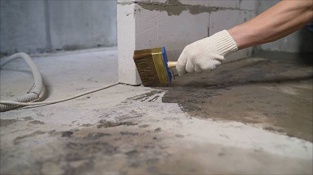 Top rated local Basement Waterproofing specialists in Cedar Springs, MI